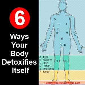 6 Ways Your Body Detoxifies Itself