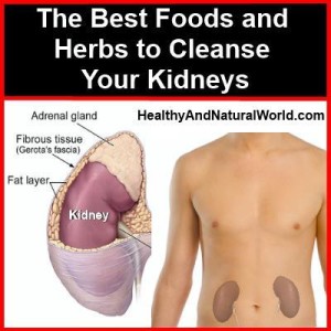 Cleanse your kidneys naturally