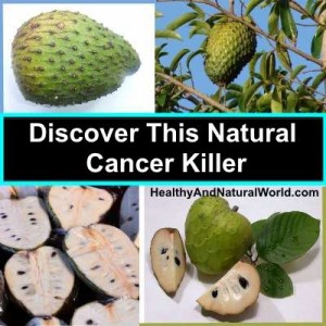 Discover This Natural Cancer Killer