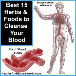 how to cleanse your blood with these foods and herbs