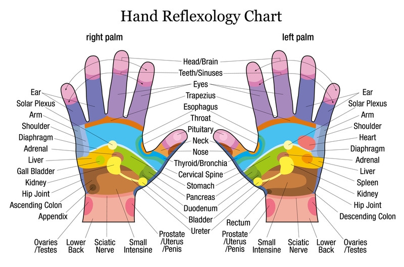 Reflexology Chart For Back