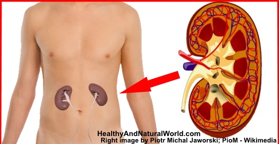can acyclovir hurt your kidneys