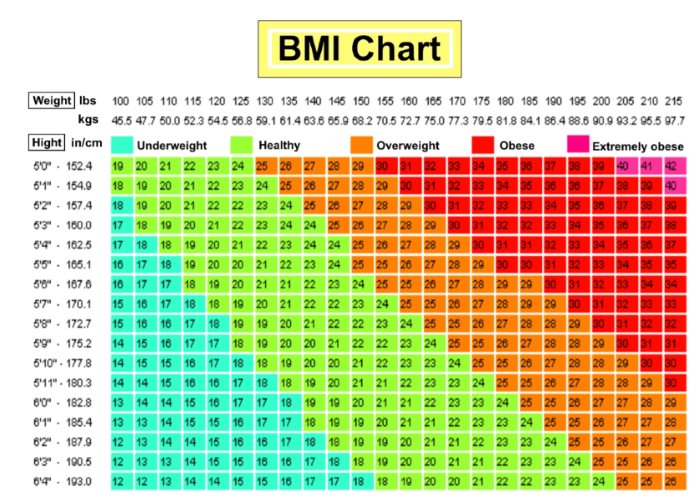 Bmi Chart Nz