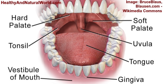 Swollen Uvula - Causes, Symptoms and Home Remedies