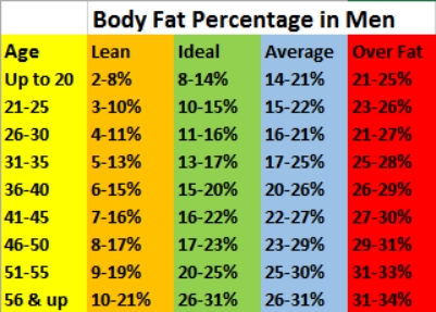 body fat chart Men