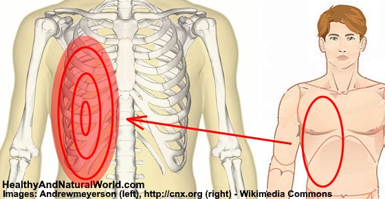 What could pain under the upper left rib cage be a symptom of?