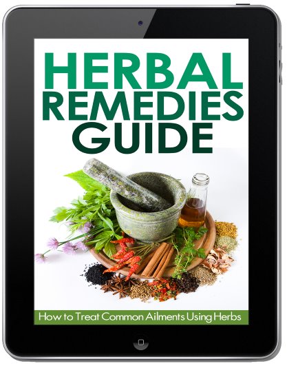 Herbal Remedies Guide