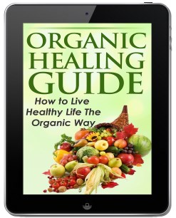 Organic Healing Guide