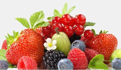 The Berry Guide