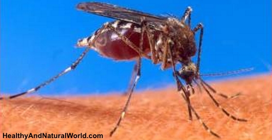 10 Natural Ways to Repel Mosquitoes