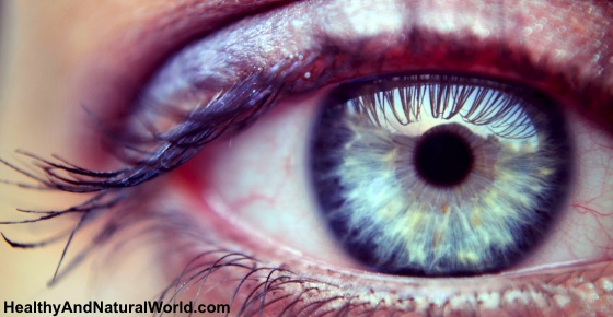 Top 9 Foods and Herbs to Improve and Protect Your Eyesight