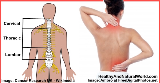 How to Relieve Back Pain and Muscle Tension Naturally