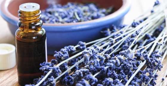 Lavender Oil: Uses and Benefits for Hair, Skin, and More