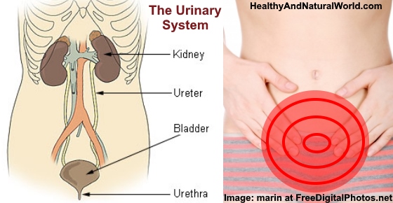 How to Treat Urinary Tract Infection (UTI) Naturally