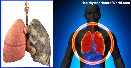 The Best Foods to Cleanse your Lungs