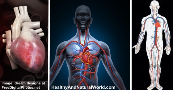 How to Improve Blood Circulation Naturally