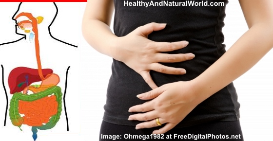 5 Reasons Your Digestive System Doesn't Function Properly