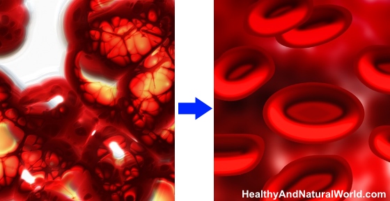 best 15 Herbs And Foods To Cleanse Your Blood