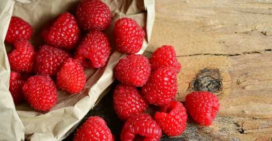 Raspberries: Nutrition Facts, Calories, Carbs, Proven Health Benefits