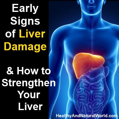 Early Signs of Liver Damageto and How to Strengthen Your Liver
