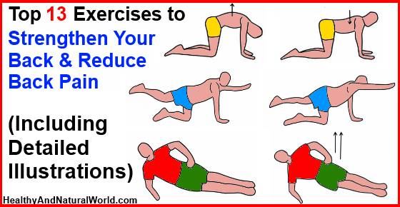 Top 13 Exercises to Strengthen Your Back and Reduce Back Pain (Including Detailed Illustrations)