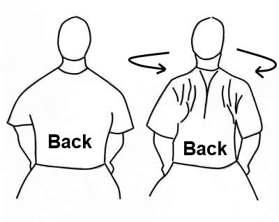 Top 13 Exercises to Strengthen Your Back and Reduce Back Pain