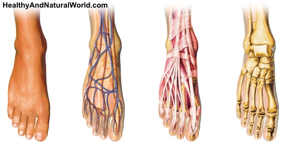 14 Warning Signs That You Have Poor Blood Circulation