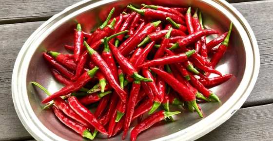 Scientifically Proven Health Benefits of Cayenne Pepper