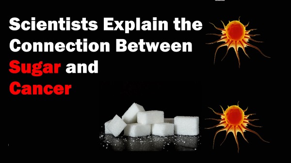 latest research on sugar and cancer