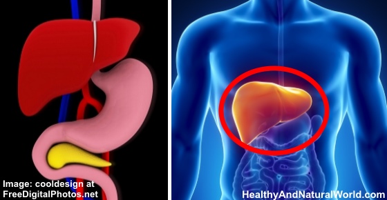 5 Common Habits That Damage Your Liver