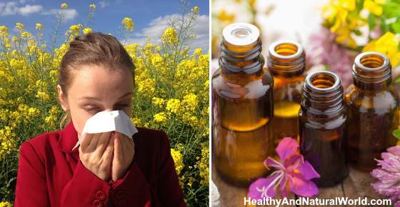 The Top 15 Essential Oils for Allergies