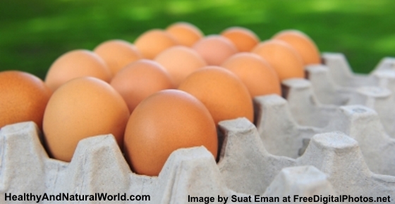 15 Surprising Uses for Eggshells and Egg Cartons