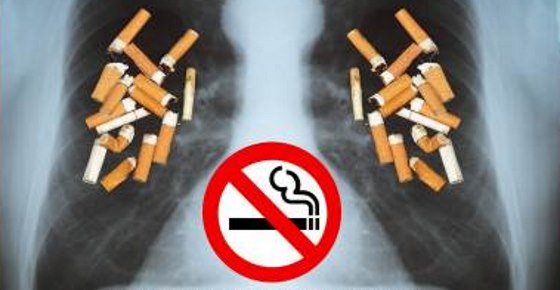 Smoking Just 60 Cigarettes: What It Does to Your Lungs + How to Quit Smoking Naturally