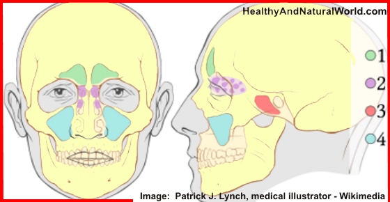 How to Clear a Stuffy or Runny Nose In 1 Minute