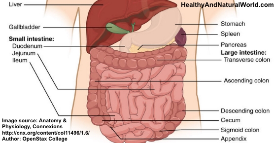 This Is What Happens To Your Body When You Skip Meals