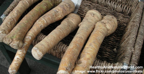 How To Use Horseradish For Sinus Infections, UTI, Cold, Flu And Bronchitis