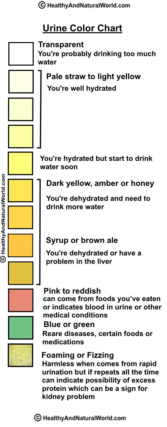 Urine Color And Odor Chart