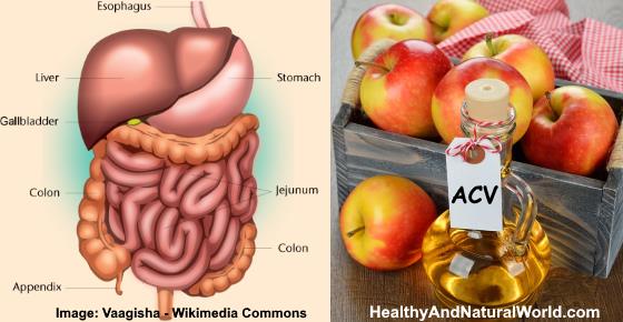 16 Amazing Health Benefits of Apple Cider Vinegar and Honey