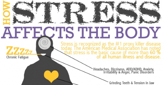 How Stress Affects Your Body