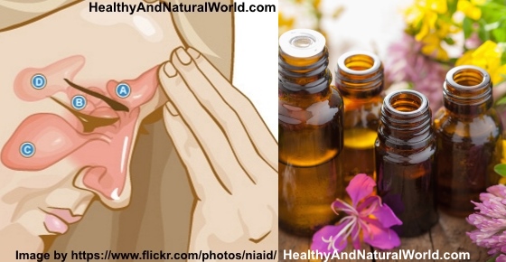 The Best Essential Oils for Sinus Infection