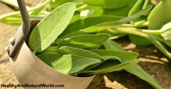 What Happens to Your Body When You Consume Sage