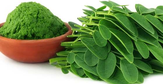 Proven Benefits of Moringa (Tea, Powder, Leaves)