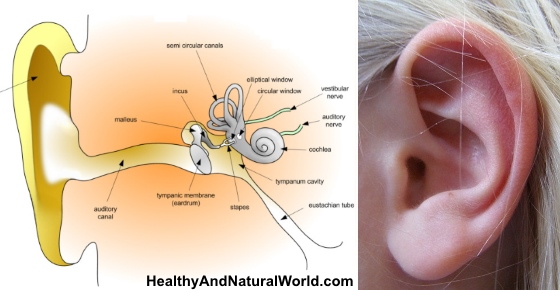 How to Naturally Get Rid of Clogged Ears