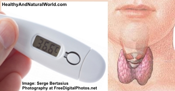 How to Test Your Thyroid With A Thermometer