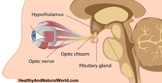 How to Improve Your Vision With Eye Exercises