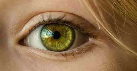 The Best Home Remedies for Pink Eye (Conjunctivitis)