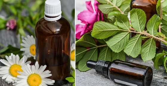 The Best Proven Essential Oils for Reducing Scars