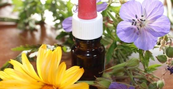 The Best Proven Essential Oils for Menopause