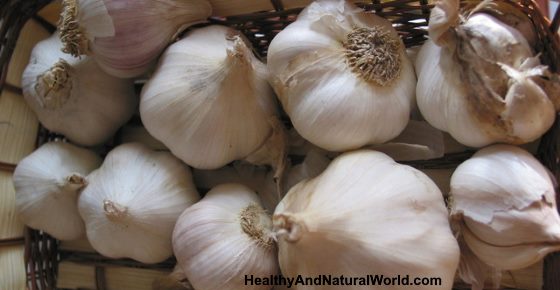 How to Use Garlic to Promote Hair Growth