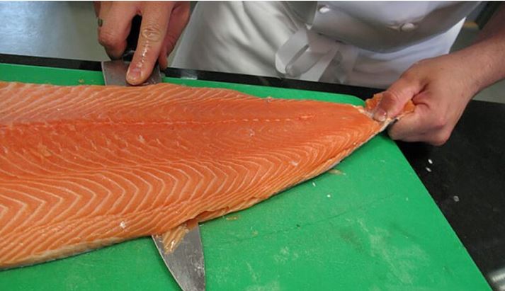 Farmed Salmon is Toxic